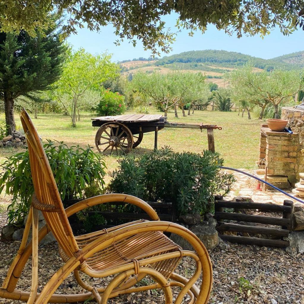 גאבוראנו Agribike Agriturismo Poggio Rossino מראה חיצוני תמונה