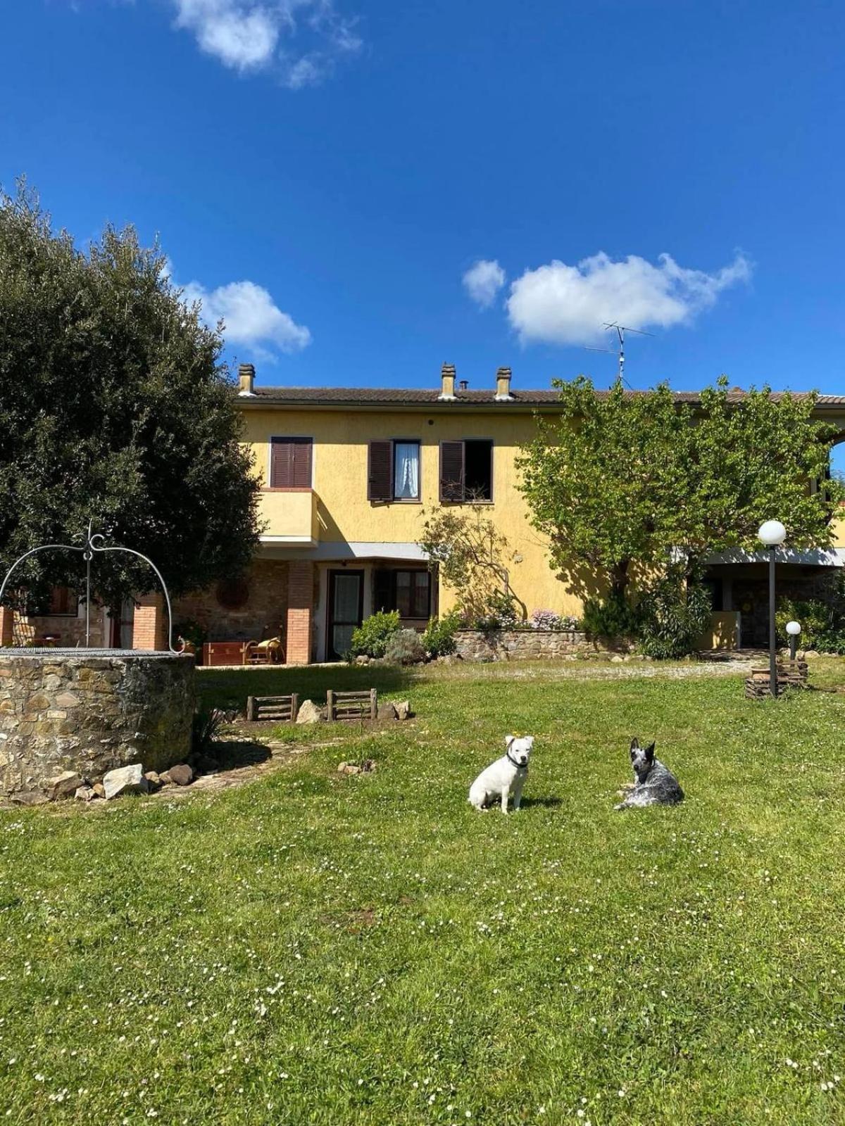 גאבוראנו Agribike Agriturismo Poggio Rossino מראה חיצוני תמונה